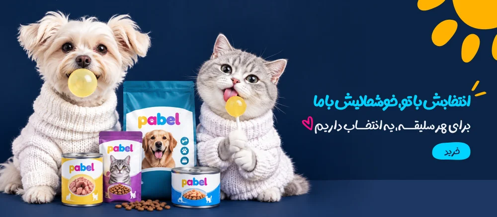 انتخابش با تو، خوشحالیش با ما